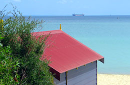 The Bluff Beach, St Leonards