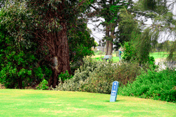 The Eastern Golf Club