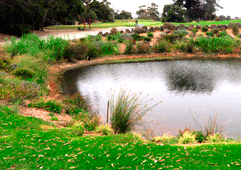 Warburton Golf Club