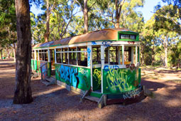Wattle Park
