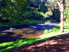 Watts River Brewing