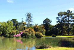 Westerfolds Park