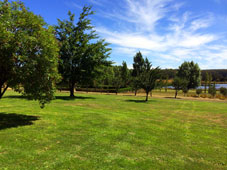 Willow Creek at Flinders