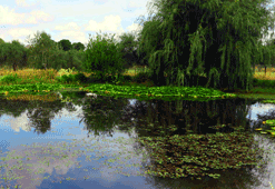 Woodlands Picnic Area